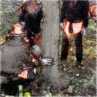 雑木林（伐採）